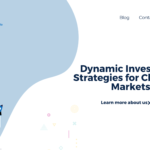 Dynamic Investment Strategies for Changing Markets